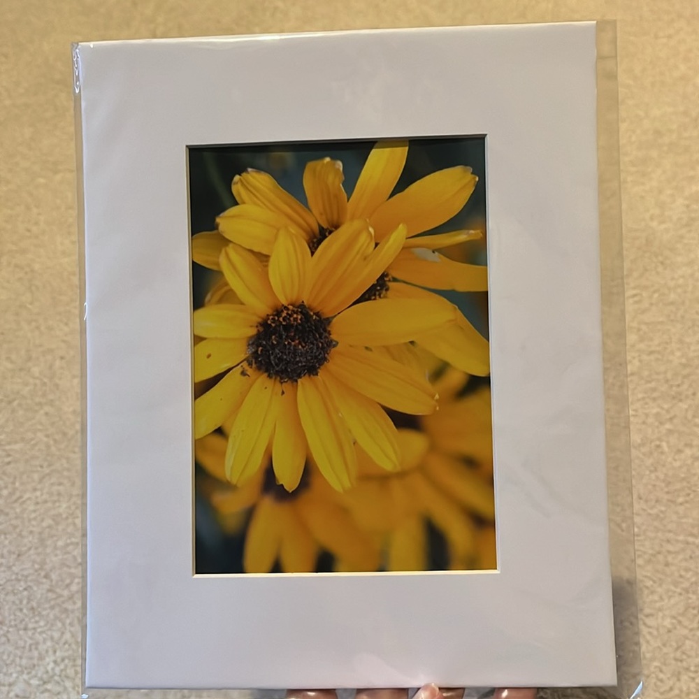 Flower Print + Mat - Picture 3 of 3